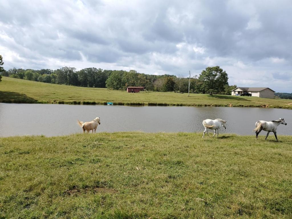 Secluded House On 60 Acres Close To Fall Creek Falls Pikeville Bagian luar foto